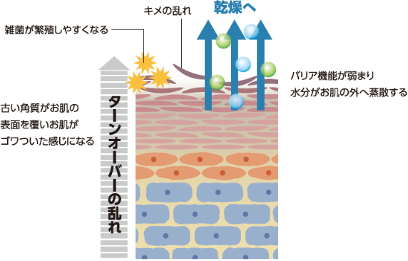 肌のバリカ機能低下の図